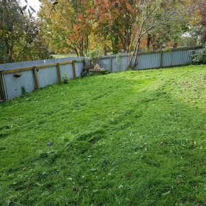 tidy lawn