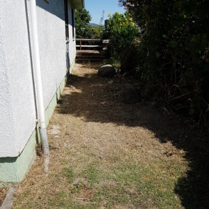cleared side yard