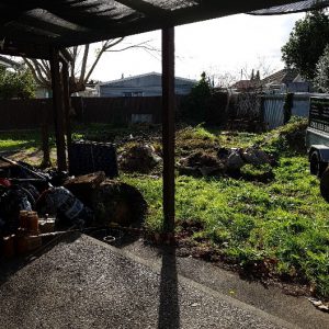 messy back yard