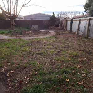 cleared back yard