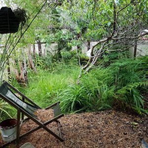 overgrown bbq area