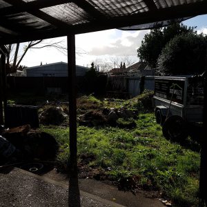 messy back yard