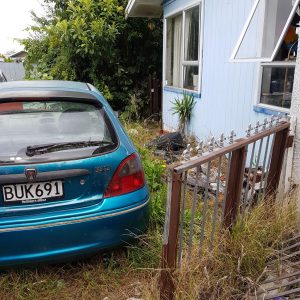 messy front yard