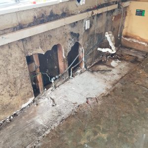 mouldy kitchen walls