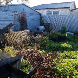 messy lawn behind garage