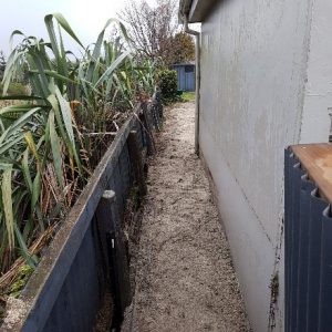 tidy path beside car port